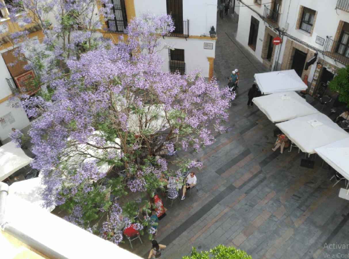 Ferienwohnung La Casa De La Musica Córdoba Exterior foto